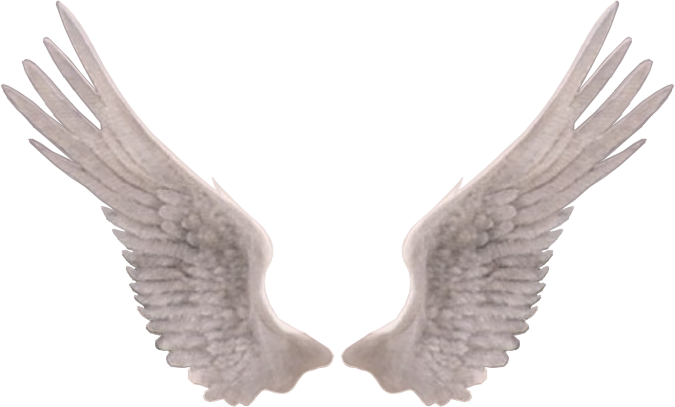 tube ailes d'ange blanche réelles